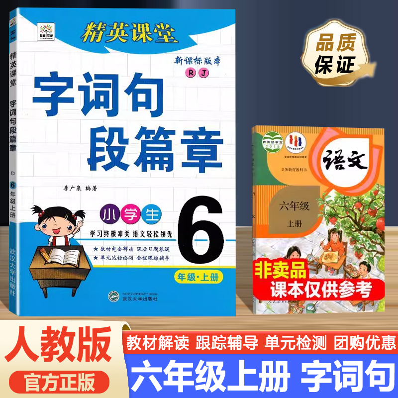 2024秋字词句段篇章小学