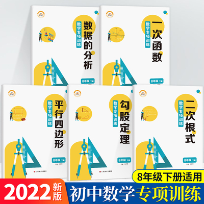 八年级下册数学专项训练人教