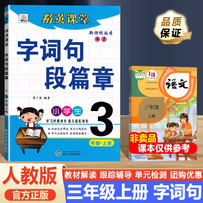 2024秋字词句段篇章小学