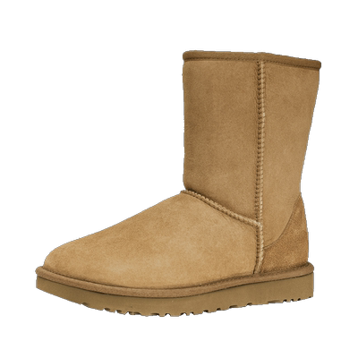 女士雪地靴鞋子UGG冬季