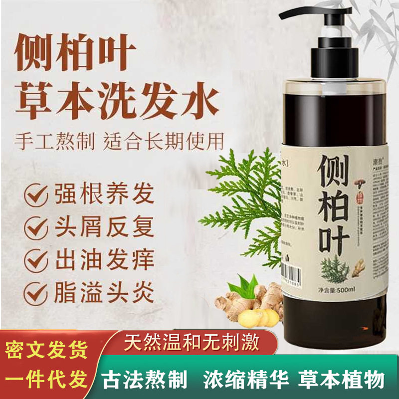 侧柏叶植物防脱发洗发水育发精华液男女掉发正品洗发露