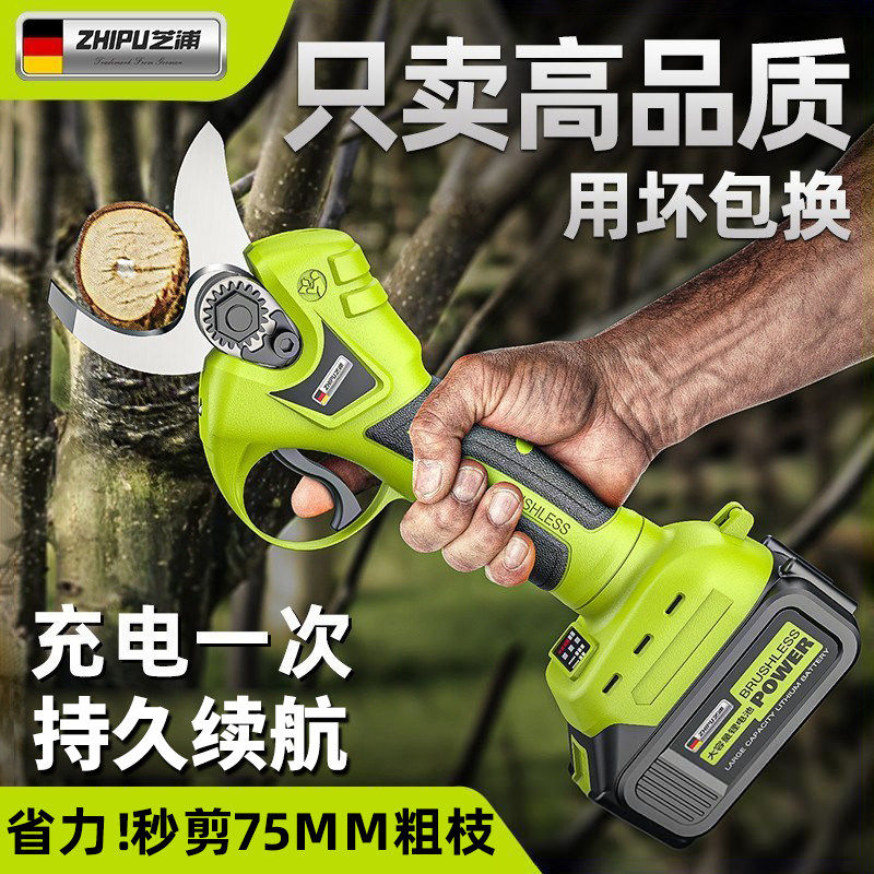 德国进口博士电动剪刀果树修枝剪电剪刀树枝专用锂电大功率型高枝