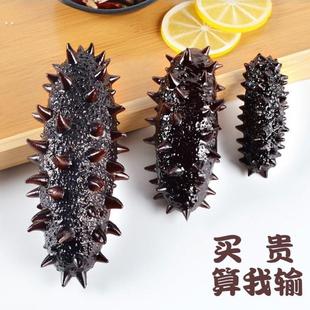 大号仿真辽参海参实物模型海鲜市集食玩食材食物美食拍摄道具摆件