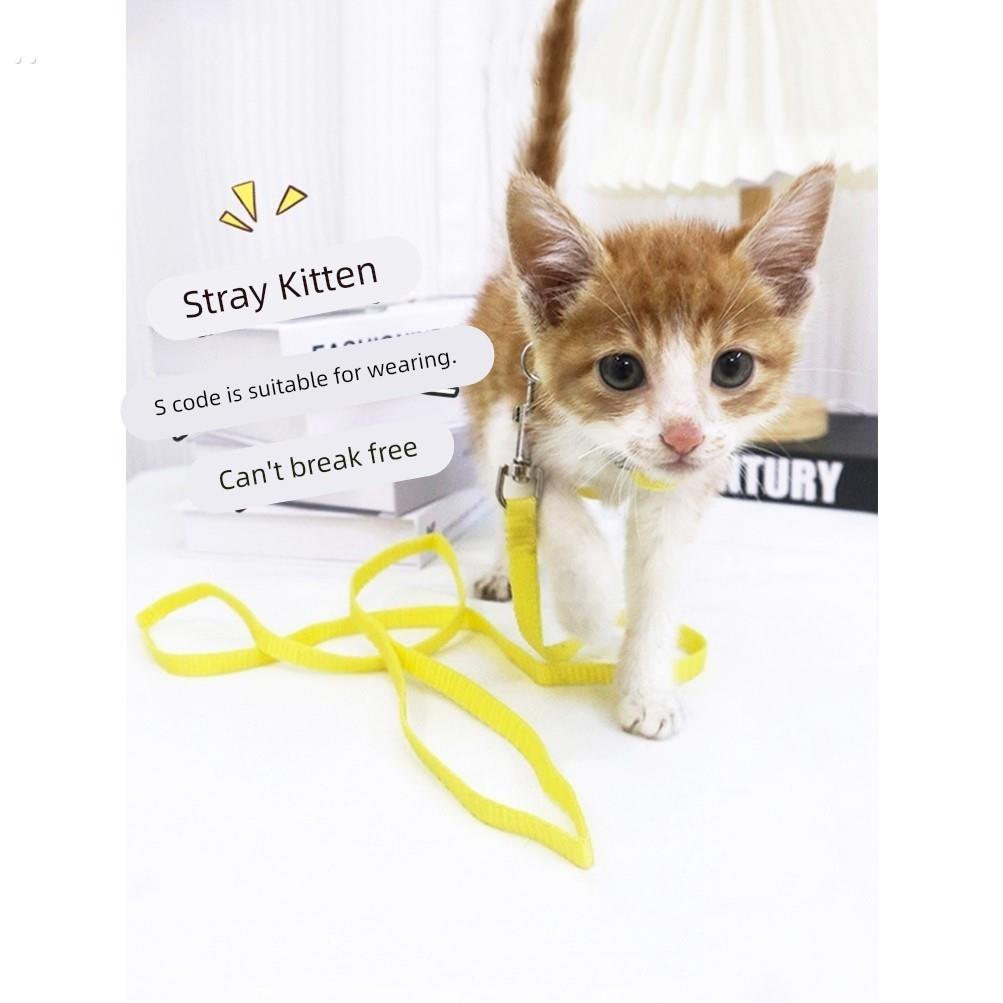 小猫咪牵引绳幼猫幼犬外出迷你犬茶杯犬小狗工字型背带遛狗猫绳
