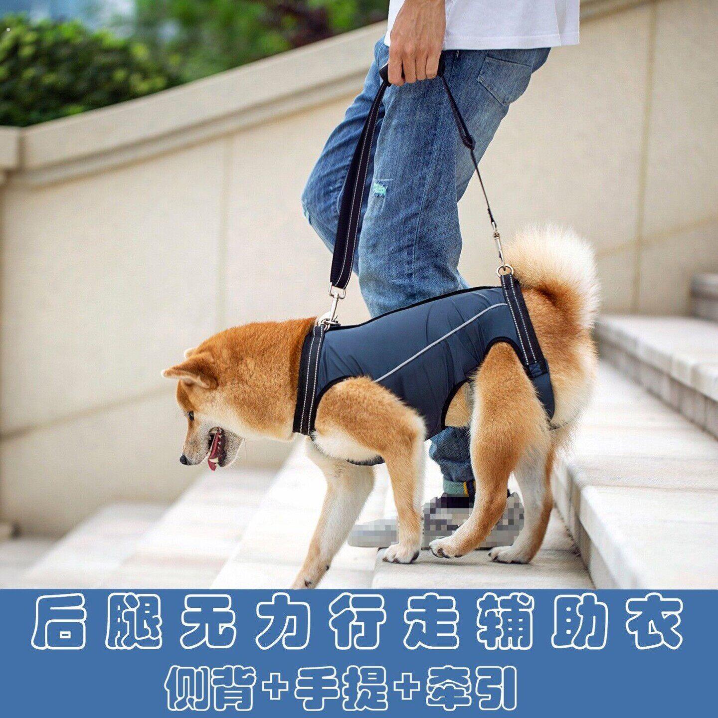 高龄犬辅助衣老狗前后腿伤残通用辅助带残疾犬狗狗走路辅助带
