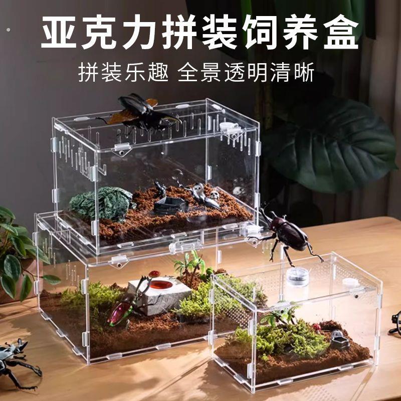 爬宠饲养箱压克力爬虫生态沙漠造景守宫角蛙蜗牛蜥蜴宠物蛇饲养盒