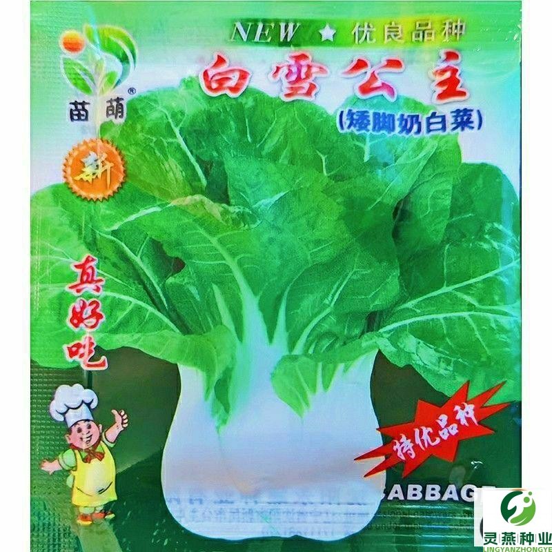 新白雪公主奶白菜种子湘潭四季播种矮脚白菜种籽盆栽大田蔬菜种子