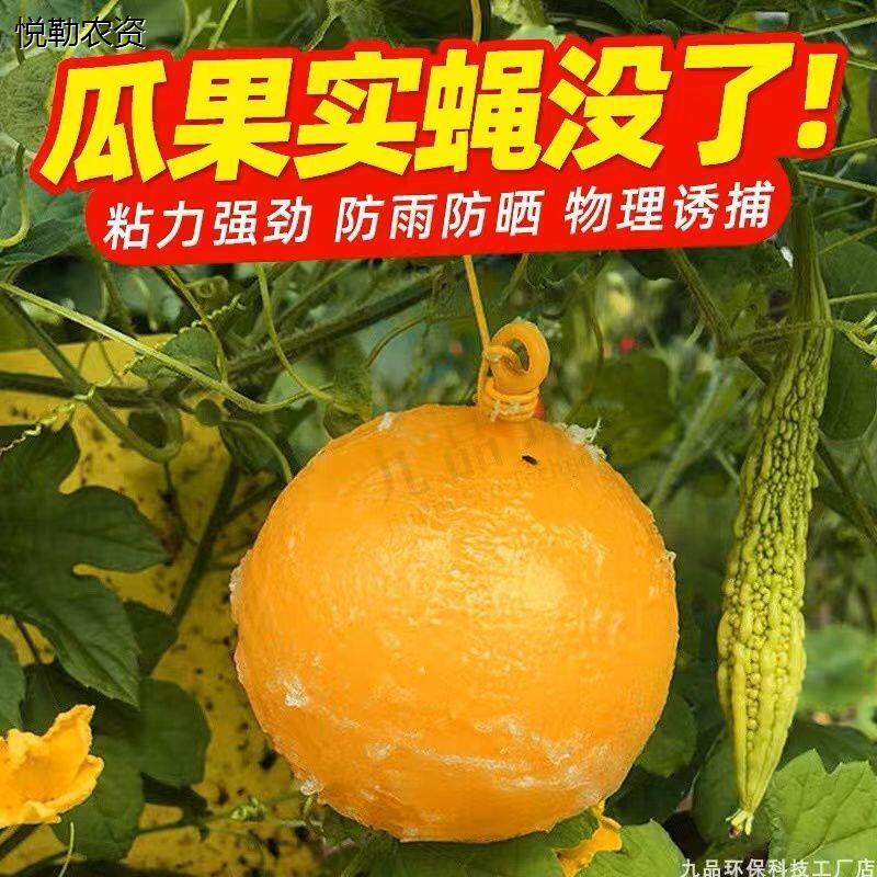 诱蝇球柑橘大实蝇瓜果园