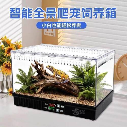 倍欣宠爬宠温控加热恒温饲养箱蜥蜴瘤尾豹纹肥尾守宫蛇虫蜘蛛造景
