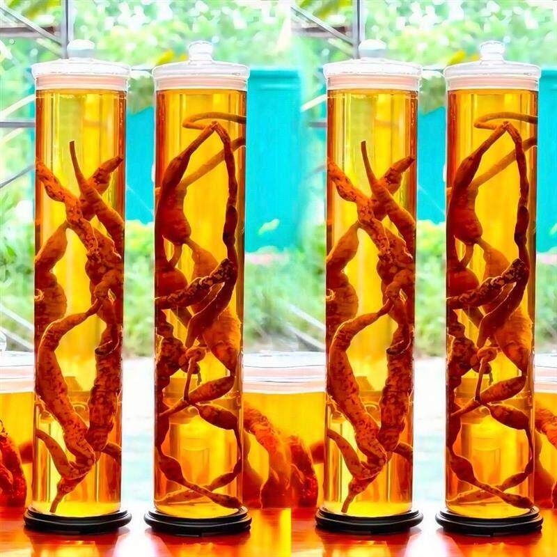 高硼硅细长泡酒瓶1米1.2米1.6米高牛大力泡酒专用酒瓶密封厂家