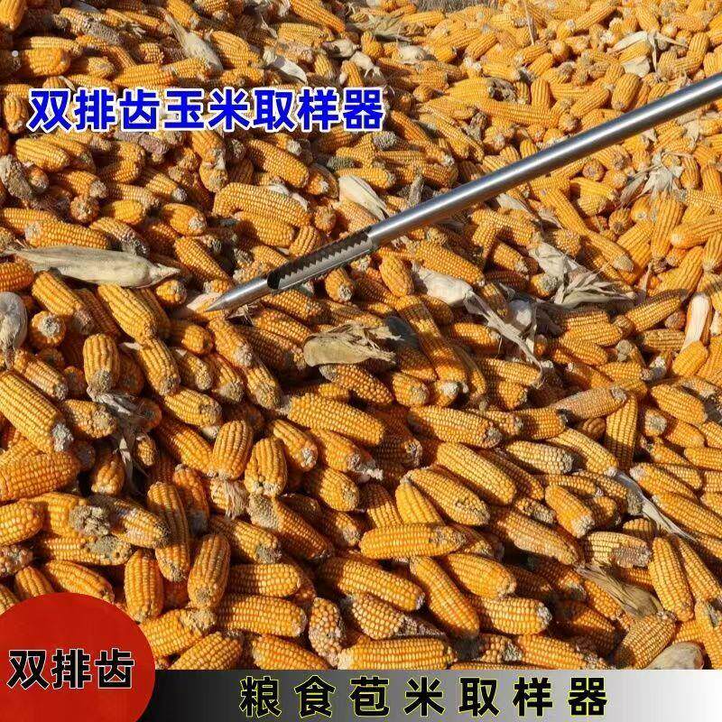 双排齿玉米篓子取样器玉米棒专用狼牙锯齿探子取样神器