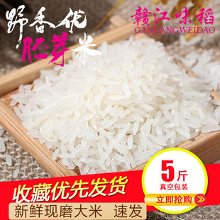 赣江味稻胚芽米5斤江西农家籼米长粒香大米粥米真空包装