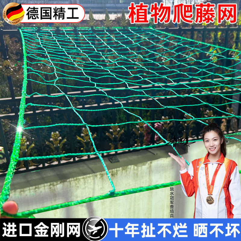 植物爬藤网攀援网园艺搭架网瓜果丝瓜苦瓜月季藤蔓花卉攀爬种植网