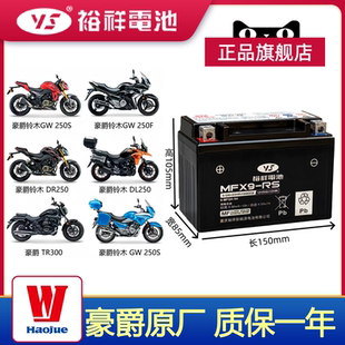 适用于豪爵铃木GW250 GSX250 TR300 DR300小小R摩托车电瓶YTX9-BS