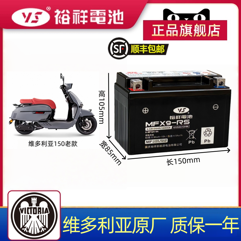 维多利亚150/300/250摩托车电瓶