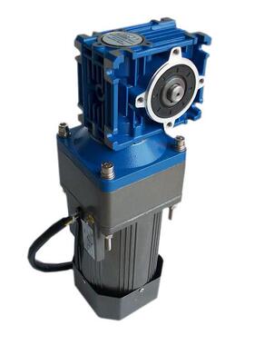 TAILI台力 RV涡轮蜗杆减速直流交流电机 160w--350w 24v12v200v