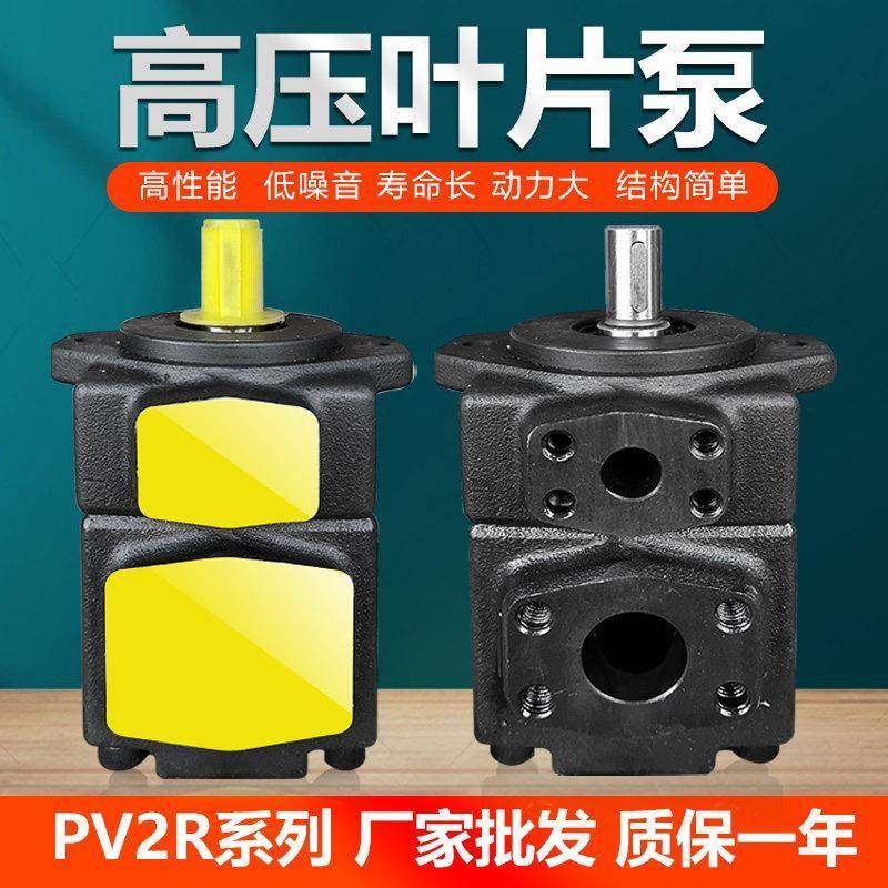 高压液压油泵叶片泵PV2R1-8 10 17 19 23 25 28 31注塑机泵头总成,标准件/零部件/工业耗材,液压泵,淘宝优惠券,粉丝福利购,淘宝优惠卷