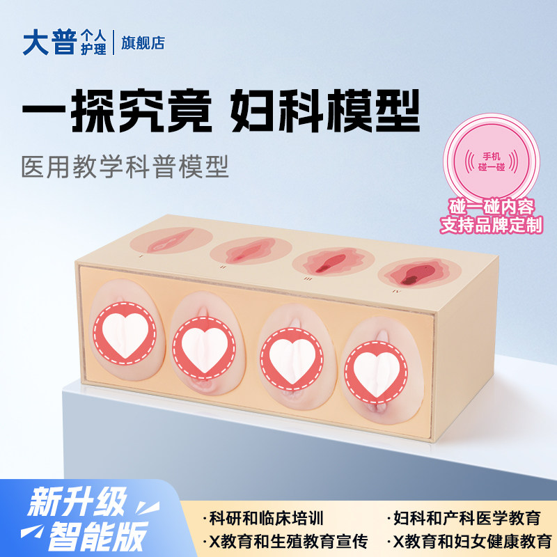 女性一探究竟产科妇科普紧致对比教具仿真生殖阴道松紧模型美容院