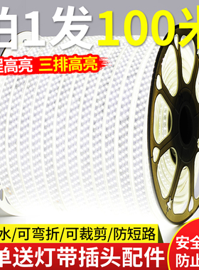 led灯带条家用户外防水超高亮白光灯带室外外墙工地隧道照明220v