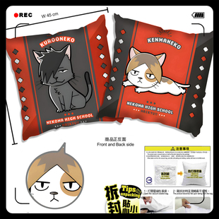 排球少年 影山飞雄 黑尾铁朗 北信介 宫侑 二次元抱枕靠枕头周边