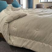 艺贺家纺 大豆羽丝棉冬被7.5斤200 230cm