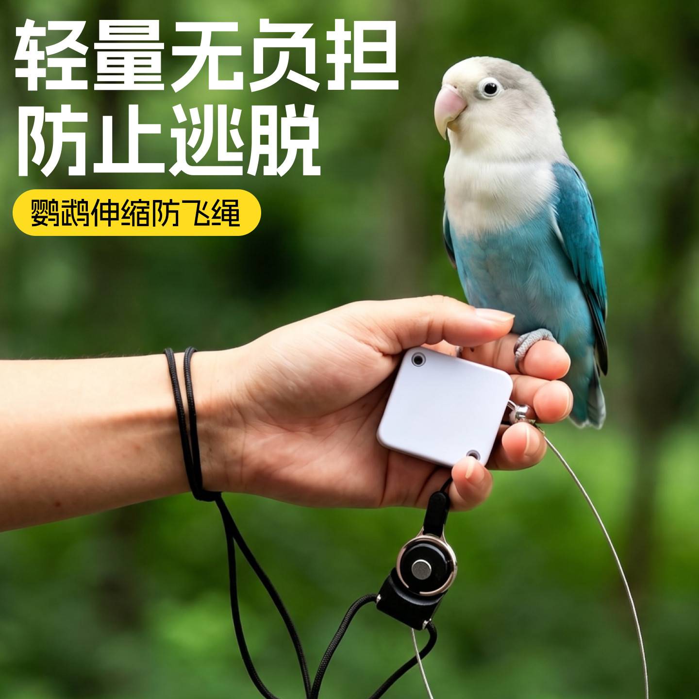 鹦鹉放飞绳可伸缩溜鸟虎