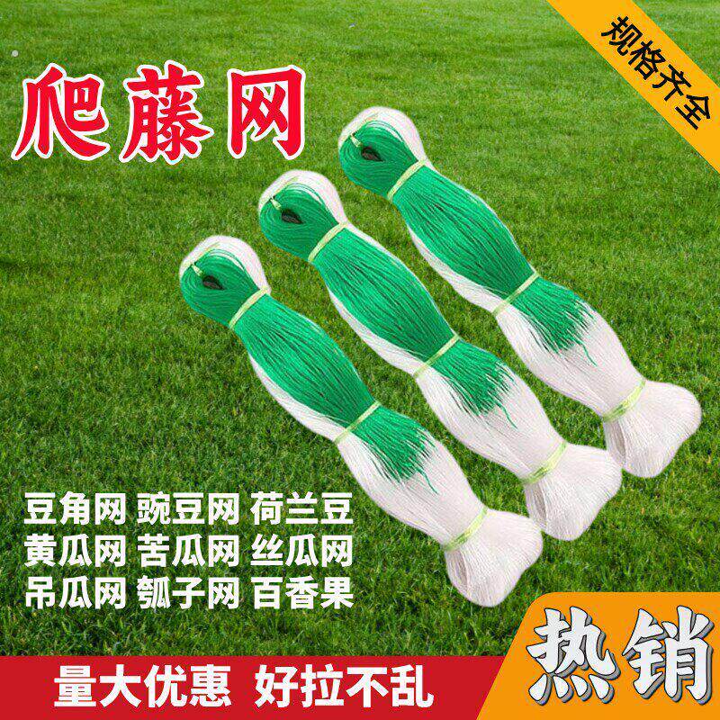 豇豆吊瓜丝瓜爬藤网苦瓜黄瓜豆角百香果专用网植物种植网攀爬农用