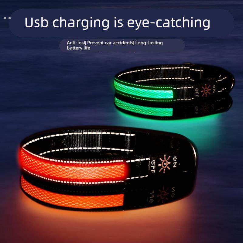 狗狗发光项圈宠物颈圈遛狗灯夜光脖圈大中小型犬牵引绳充电可调节