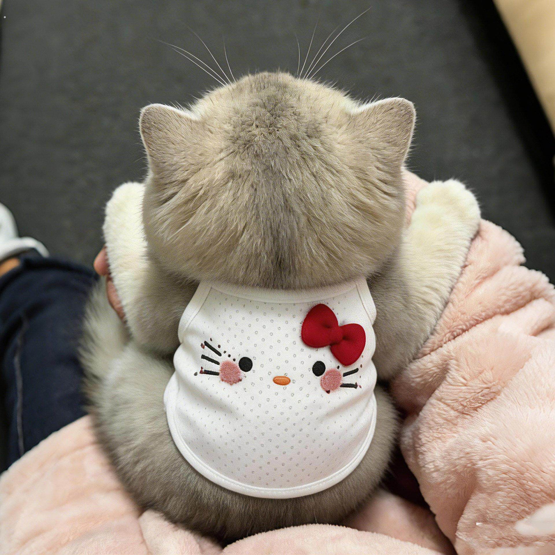 猫咪衣服防掉毛夏季薄款透气网眼蝴蝶结背心无袖吊带狗狗凉凉衣