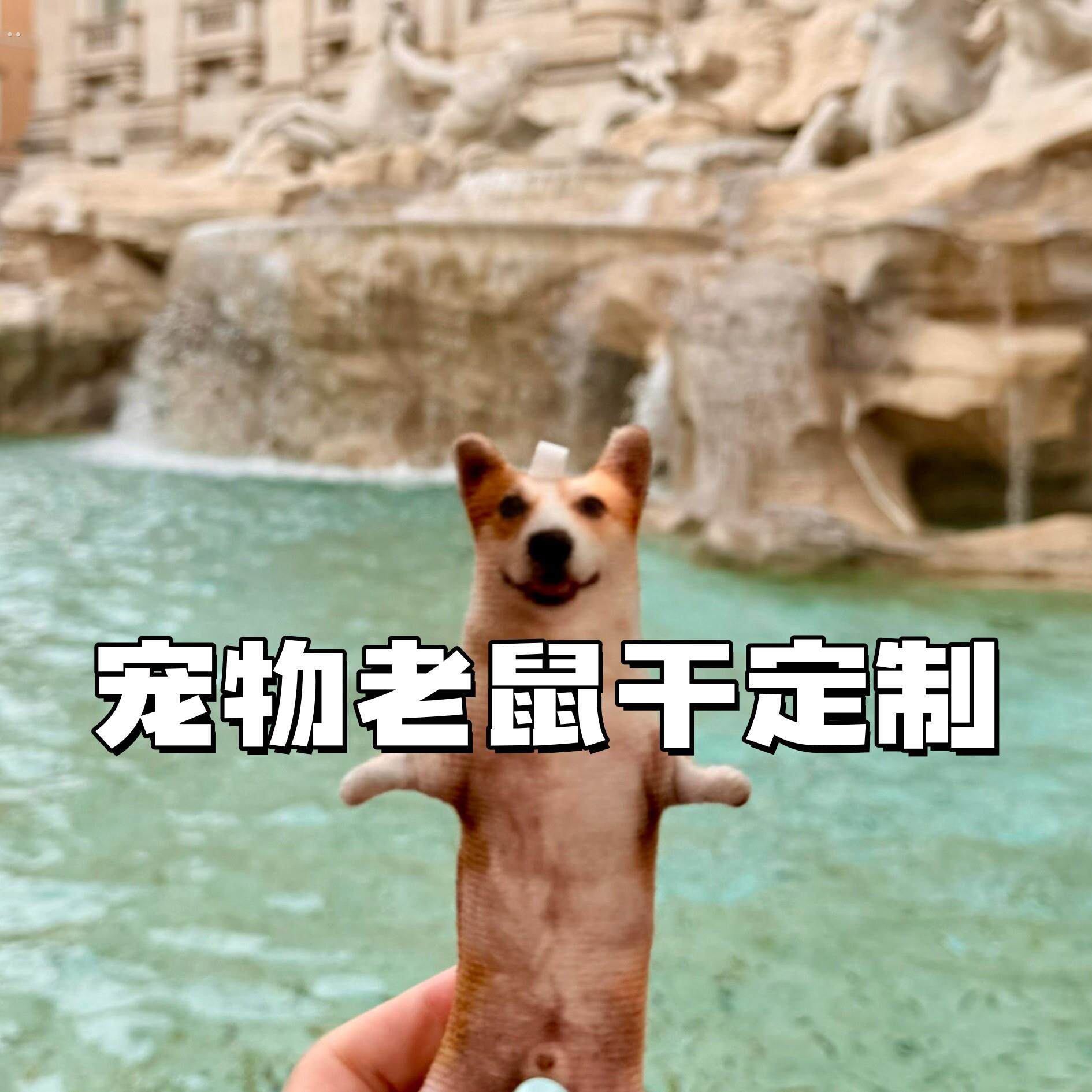 狗狗宠物老鼠干定制猫咪迷你可爱带骨架可摆造型乳鼠干玩偶挂件