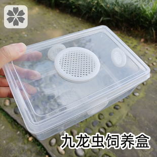 洋虫饲养盒 幼虫爬虫繁殖盒九龙虫养殖盒粪便分离器具养殖箱透明