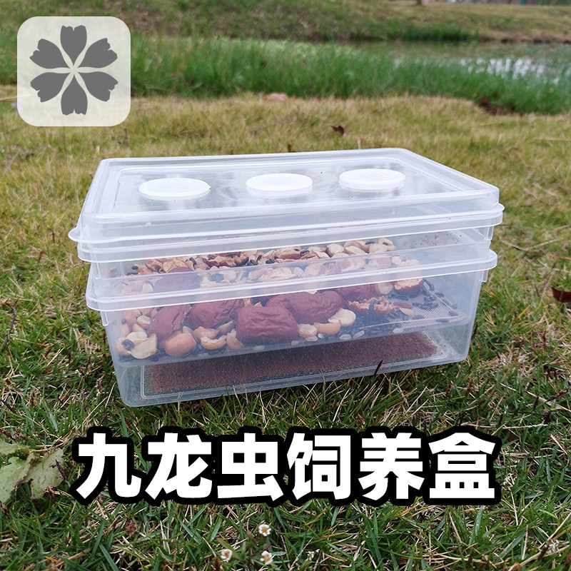 九龙虫饲养盒养殖箱过滤粪便