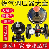 RTZ F天然气减压阀FQ燃气调压器工业管道调压阀煤气减压阀沼气阀