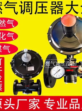 RTZ-F天然气减压阀FQ燃气调压器工业管道调压阀煤气减压阀沼气阀