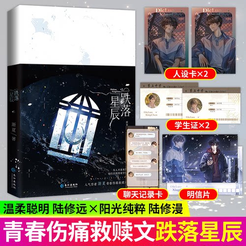 跌落星辰 渐夏著 陆修远x陆修漫 青春校园都市治愈救赎成长言情文 人天书店FX