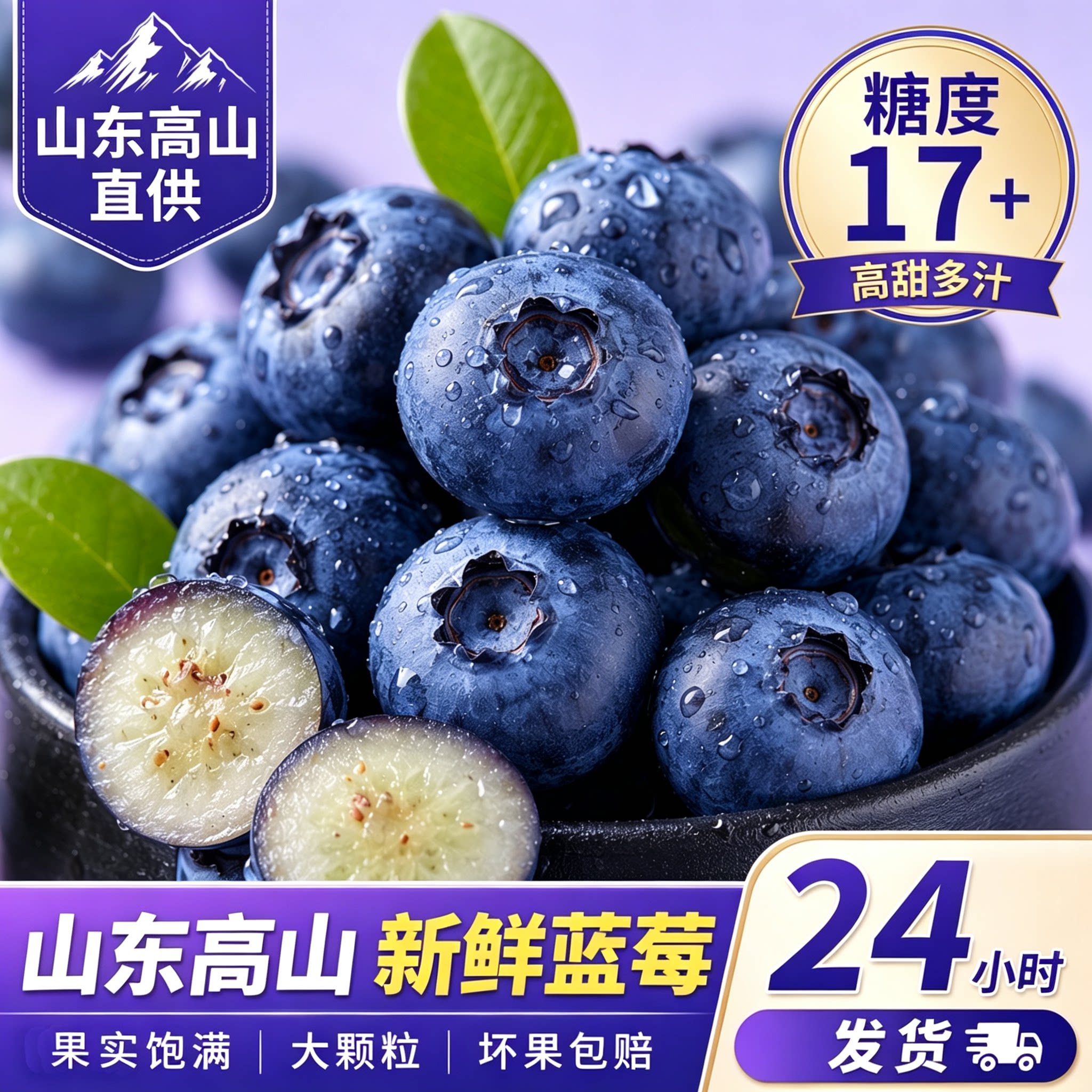 山东蓝莓现摘特大果新鲜脆甜包赔