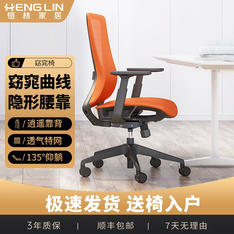 恒林电脑椅家用人体工学椅子办公室椅简约书房转椅学习书桌椅座椅