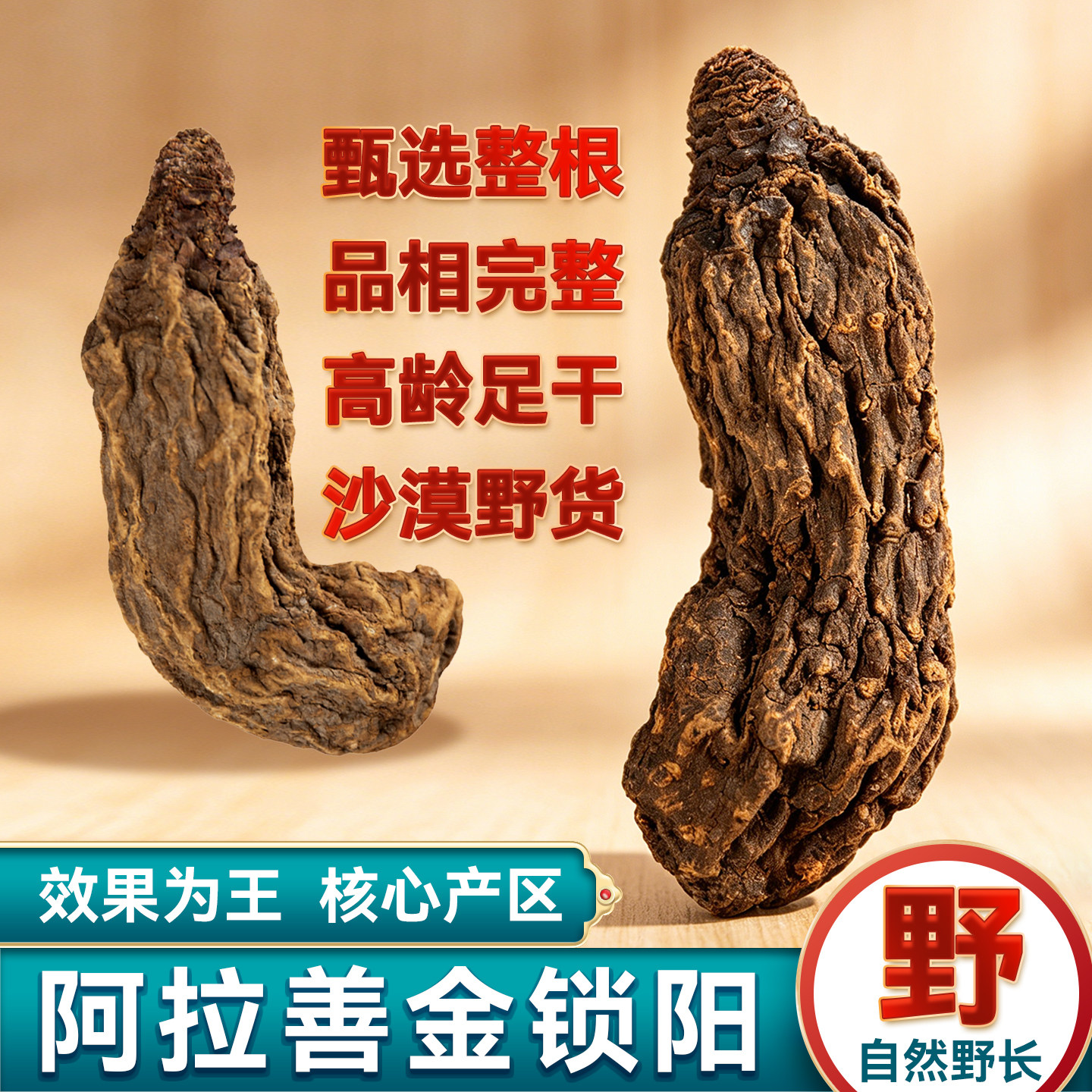 金锁阳整根内蒙古阿拉善特级切片秋冬小头荒漠野长正品泡酒料滋补