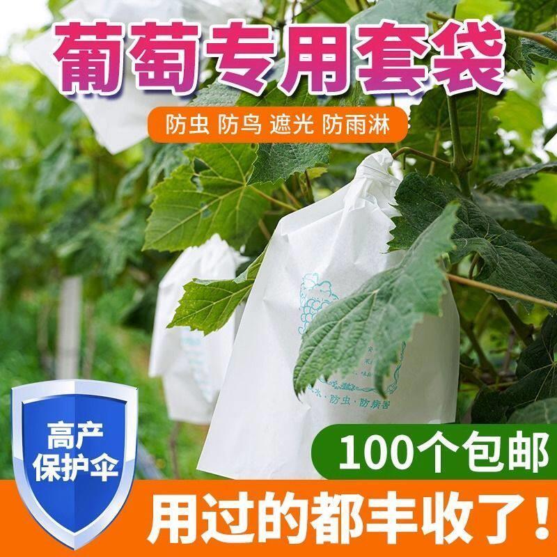 葡萄袋套袋专用袋水果袋防水防雨防虫防鸟莲雾保护透气半透明纸袋
