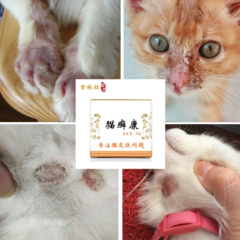 猫咪真菌感染能自愈吗图片