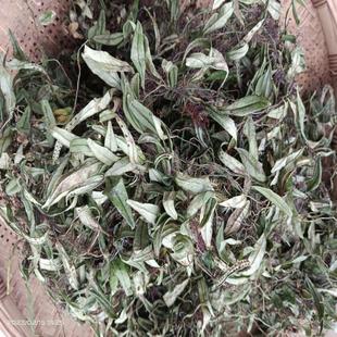 贵州抱石莲 抱石连鱼鳖草石瓜子 瓜子草中草药材产地直发全国包邮