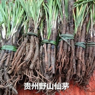 野山仙茅贵州省草药仙茅中药材独脚仙茅先茅独矛高原农家地产包邮