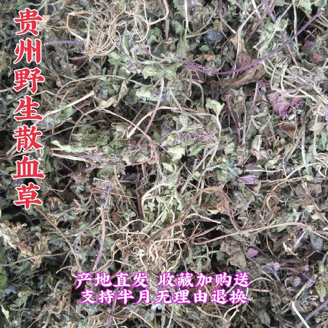 散血草贵州大山干品野生白毛夏枯草中草药材破血丹500g包邮退血草