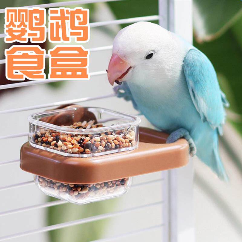 鹦鹉喂食器喂水器食盆站架小碗多功能吃饭盘造景布景趣味宠物用品