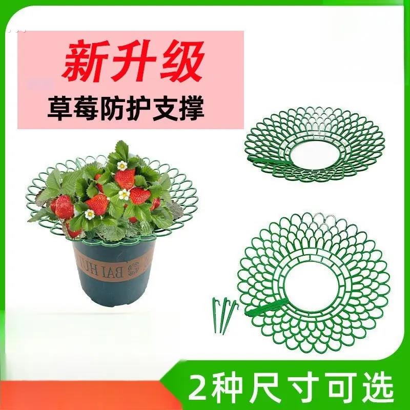 草莓支架托盘园艺用品家庭阳台种植太阳花盆栽苗防腐烂果实支撑架