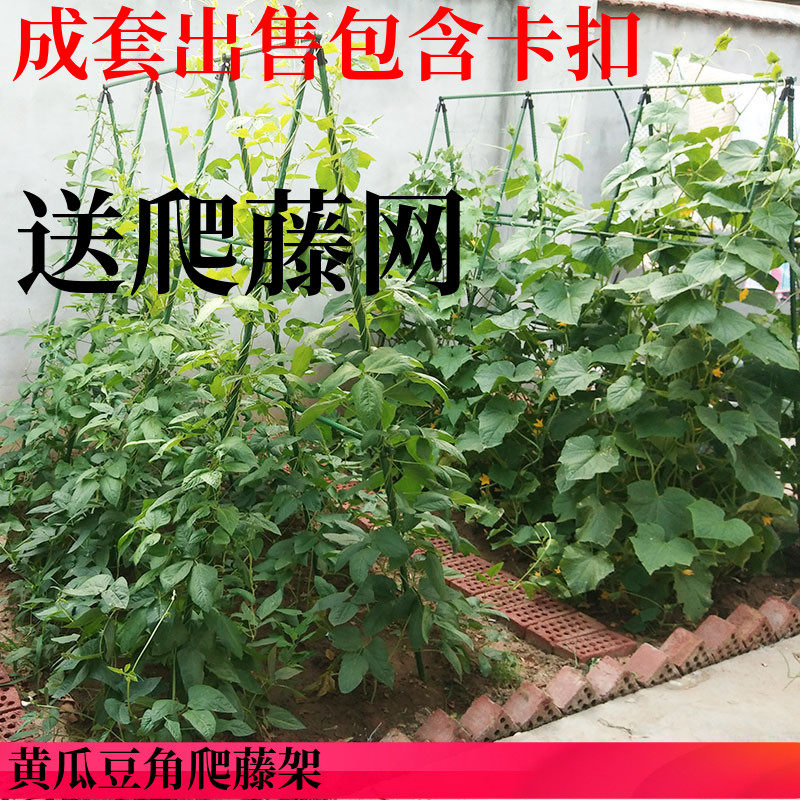 四季豆架子蔬菜植物豆角黄瓜葡萄架爬藤牵引杆月季花架支撑搭杆架