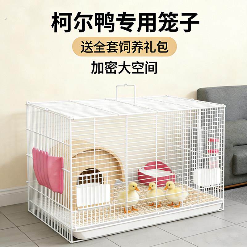 养小鸭子的笼子大号别墅自动清粪小鸡柯尔鸭家用饲养笼芦丁鸡笼子