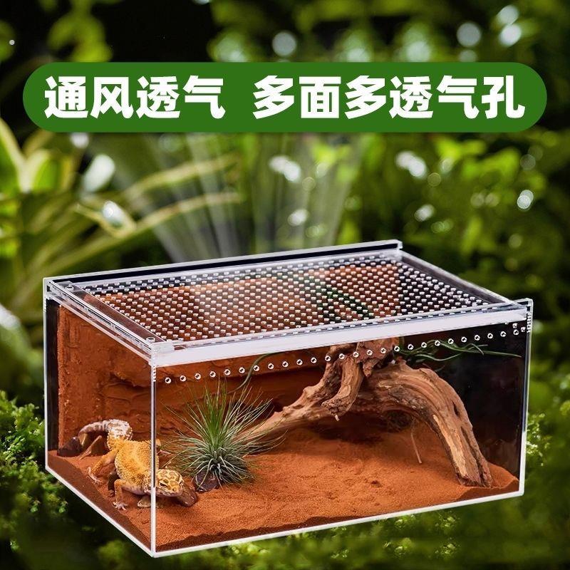 爬宠饲养箱宠物蜗牛守宫高清非亚克力蜥蜴角蛙蛇蜘蛛螳螂饲养盒