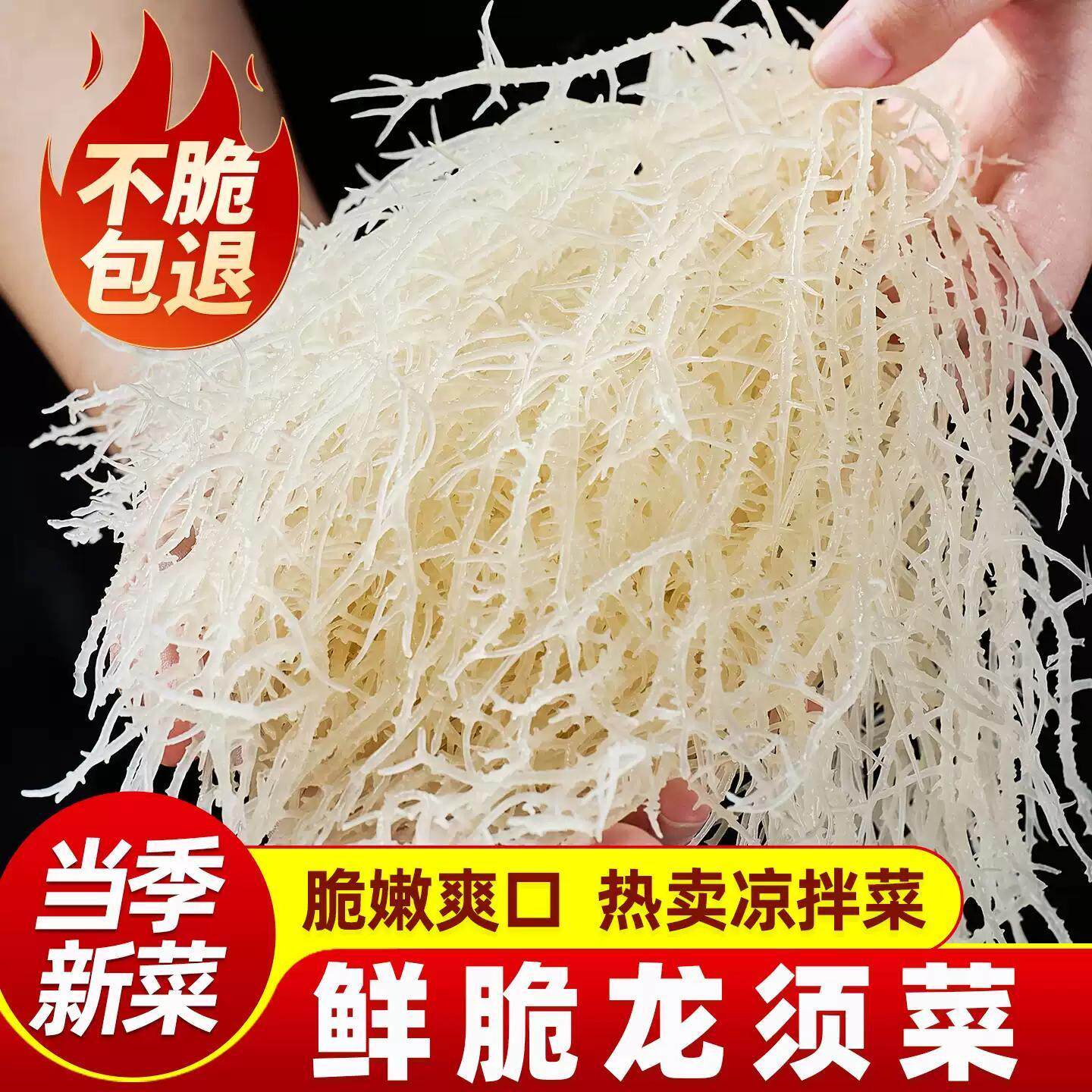 新鲜半干龙须菜石花菜半干鹿角菜长寿菜麒麟菜野生海藻凉拌菜批发