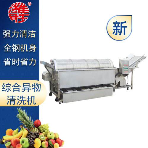 厂家供应日式综合异物清洗机果蔬综合清洗一体机清洁果蔬设备